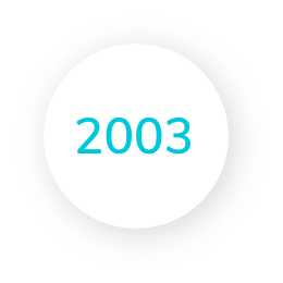 2003 Icon