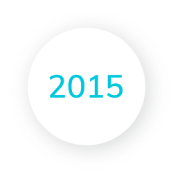 2015 Icon