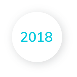 2018 Icon